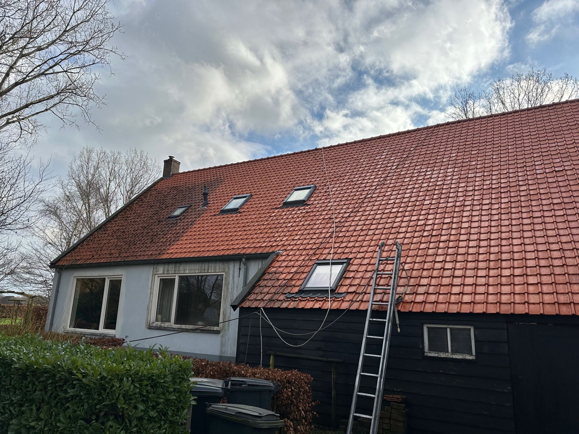 Dak voor